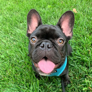 Meet your Posher, Mena